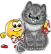 Киса :cat: