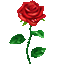 :rose: